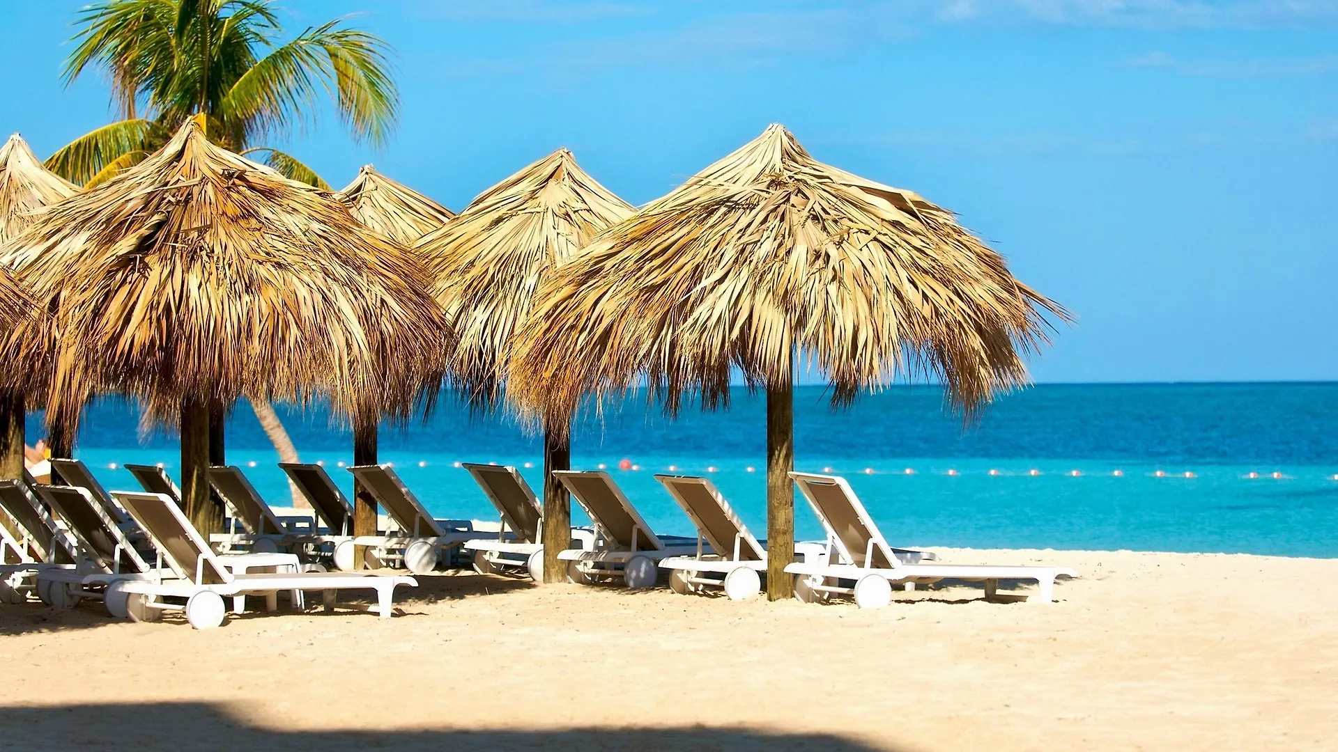 Joia Rose Hall By Iberostar (Adults Only) Montego Bay Resort