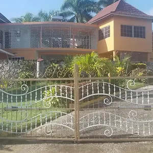 Villa Chaudhry House